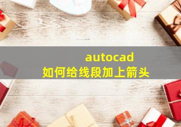 autocad 如何给线段加上箭头